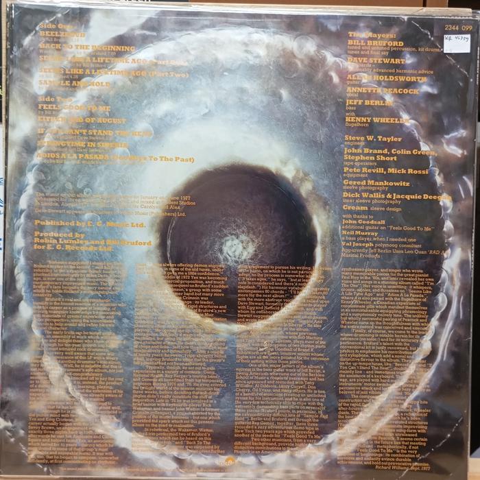 Vinyl Bruford - Feels Good To Me - Gambar 2