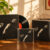 Vinyl,-CD,-atau-Boxset-Mana-yang-Cocok-untuk-Anda