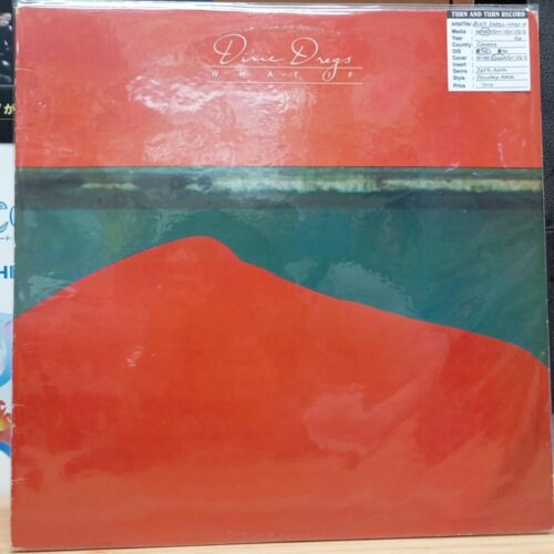 Vinyl Dixie Dregs - What If