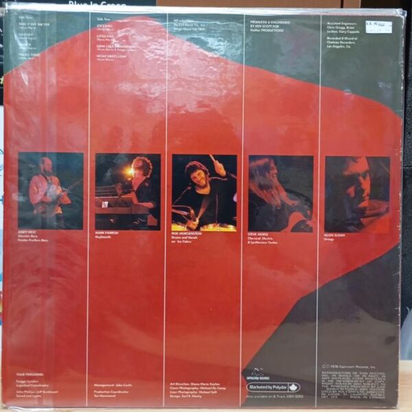 Vinyl Dixie Dregs - What If
