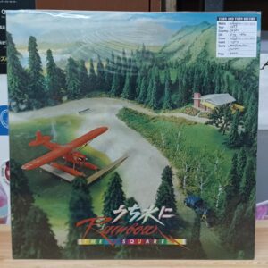Vinyl The Square - Rainbow